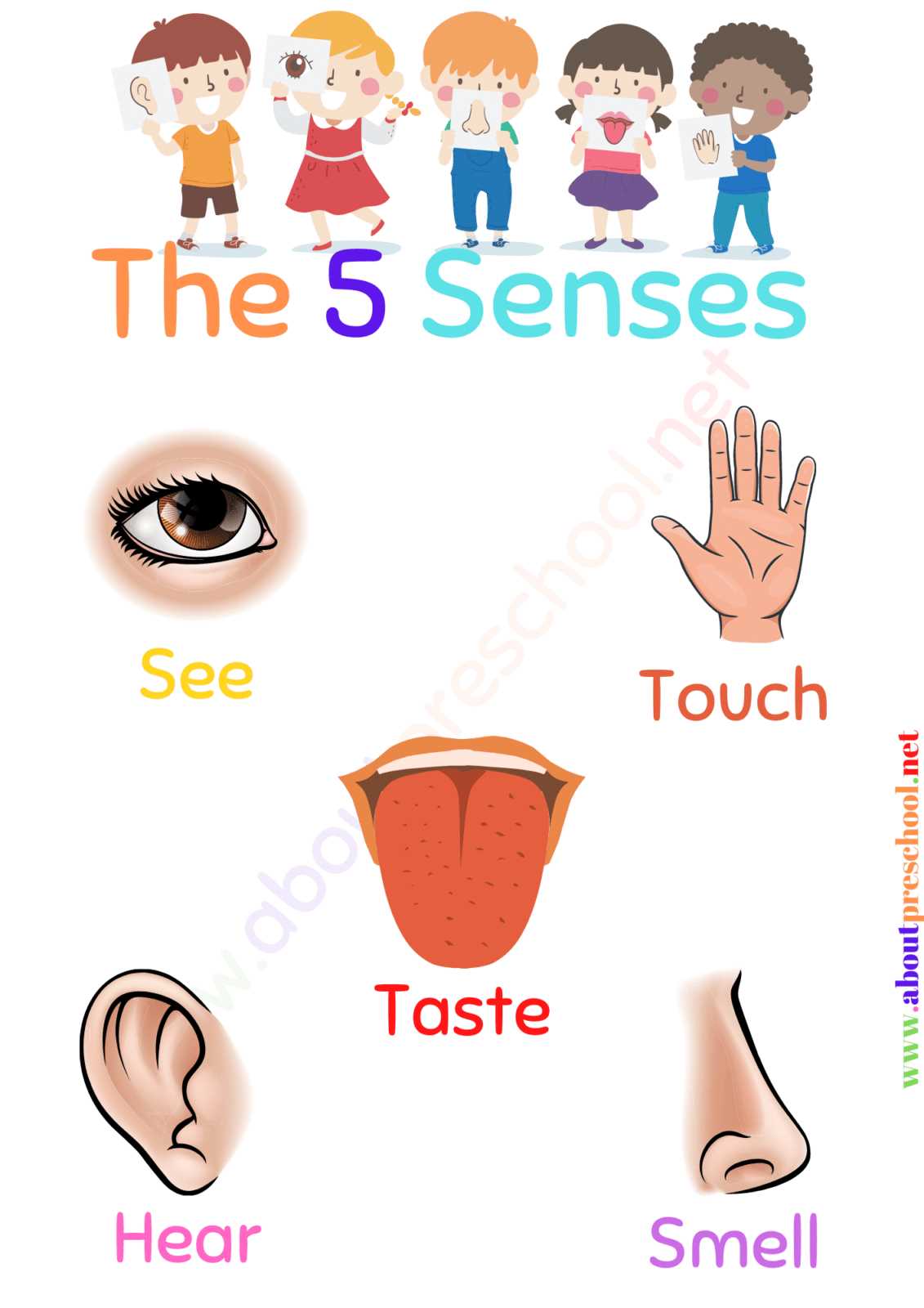 5 senses printable 5 senses printable