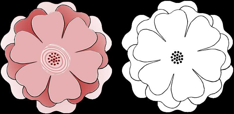 6 petal flower template free printable 6 petal flower template free printable