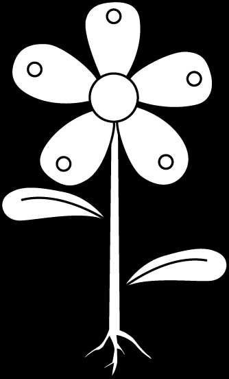 black and white flower printable