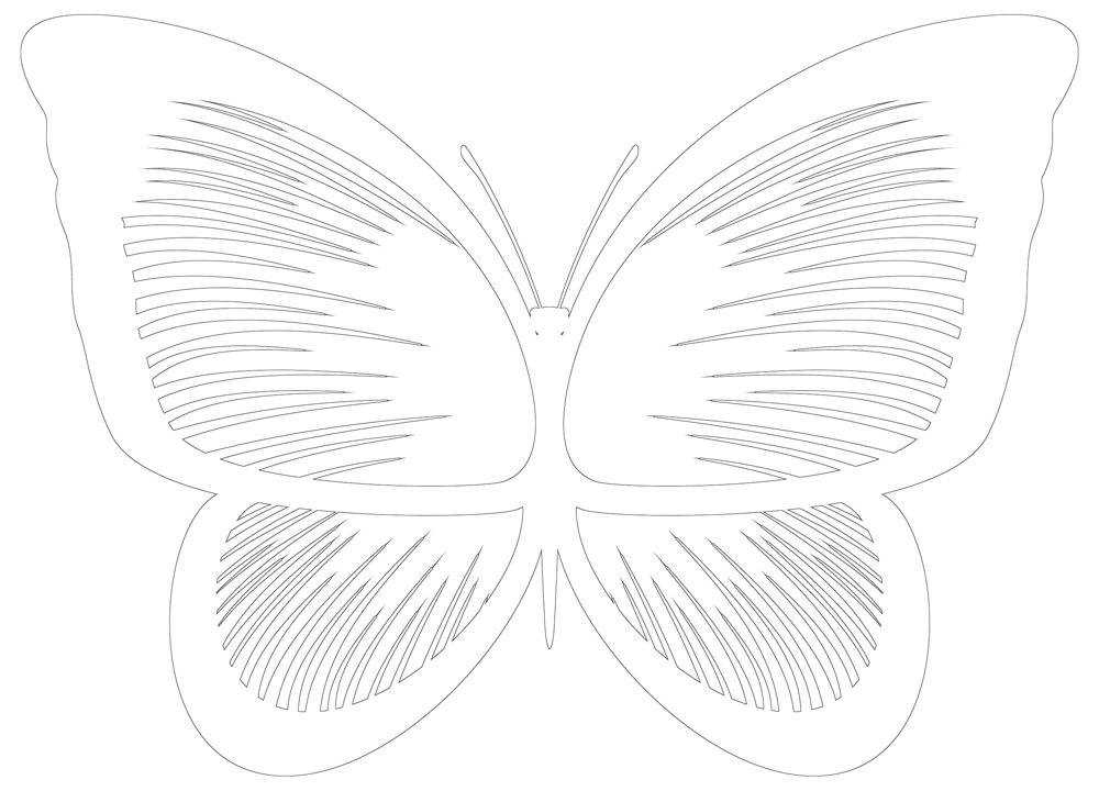 butterfly wings printable butterfly wings printable