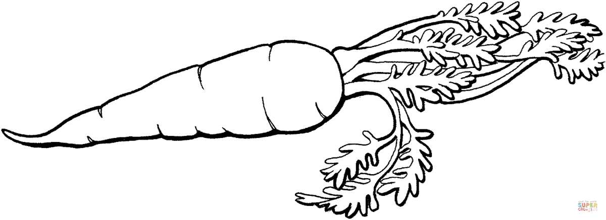 carrot outline printable carrot outline printable