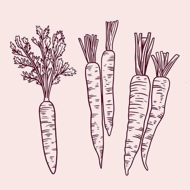 carrot outline printable carrot outline printable
