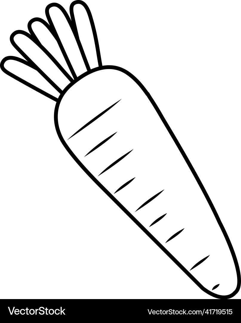 carrot outline printable carrot outline printable