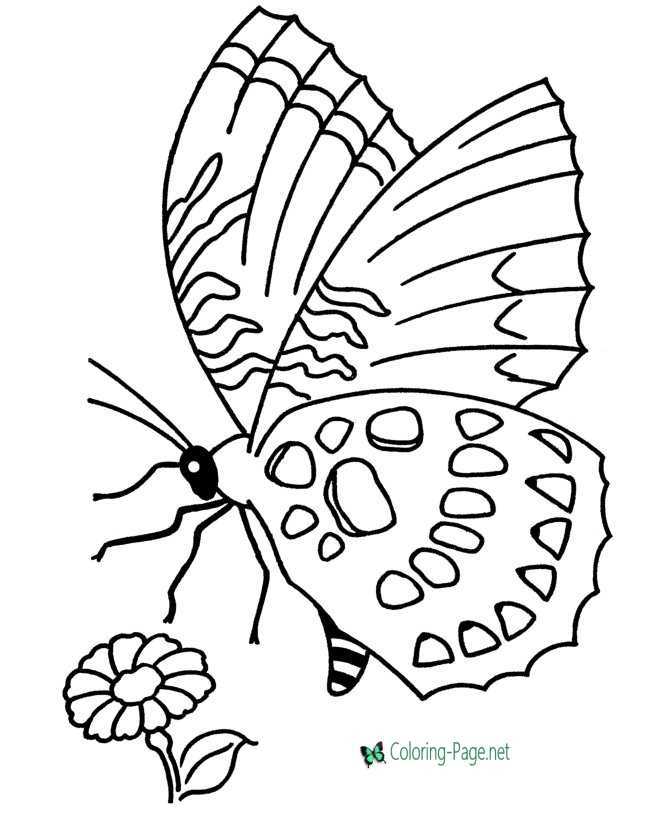 color butterfly printable color butterfly printable