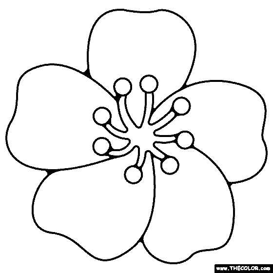 colored flowers printable