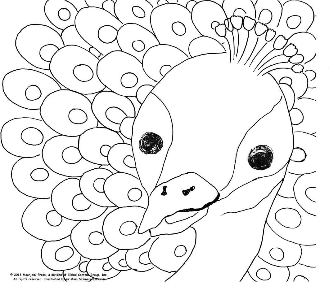 coloring pages peacock printable