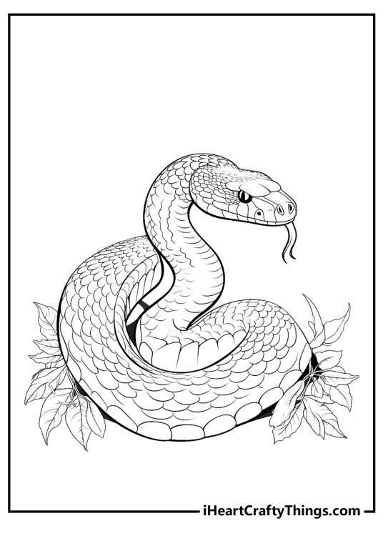coloring pages snakes printable