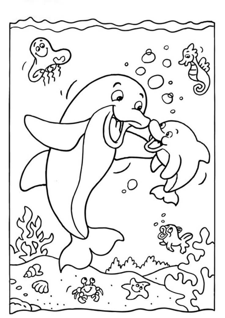 dolphin printable coloring pages dolphin printable coloring pages