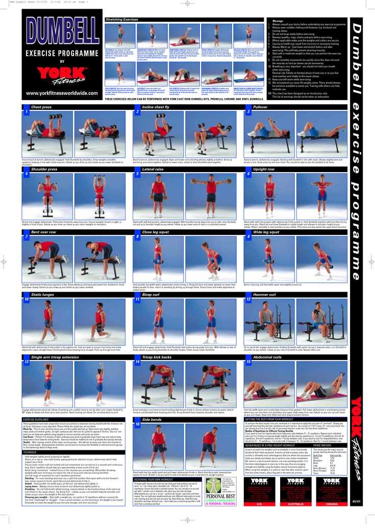 dumbbell exercises chart printable