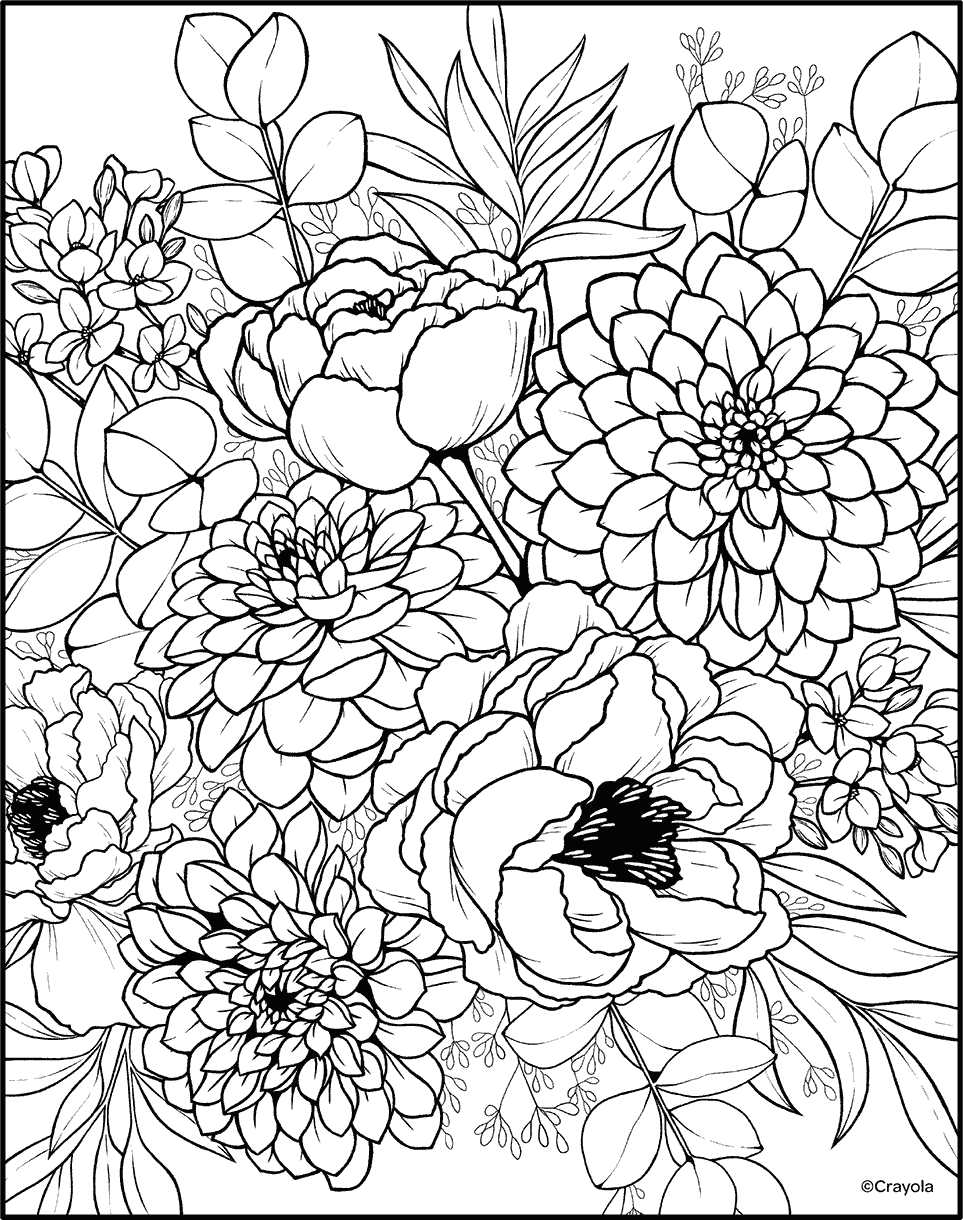 flower colouring sheets printable flower colouring sheets printable