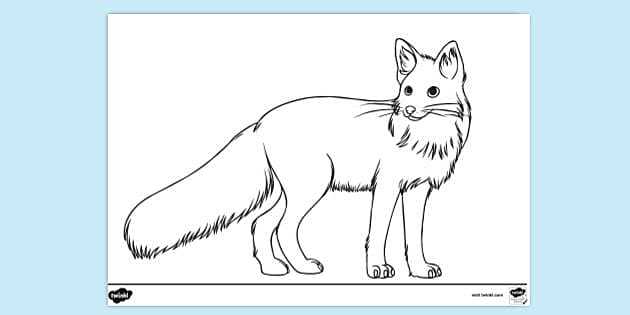 fox printable template
