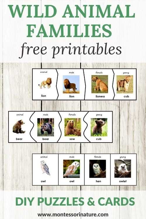 free animal printables