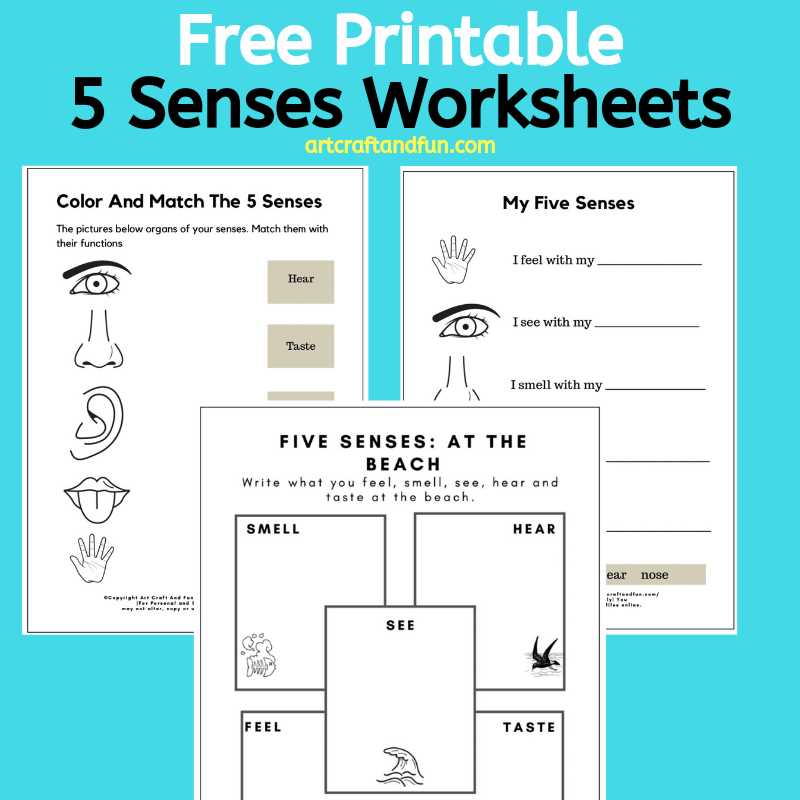 free five senses printables