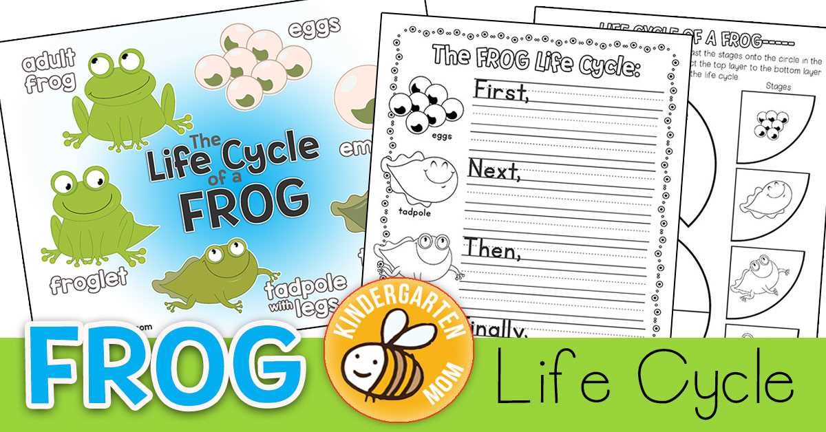 free frog life cycle printables free frog life cycle printables
