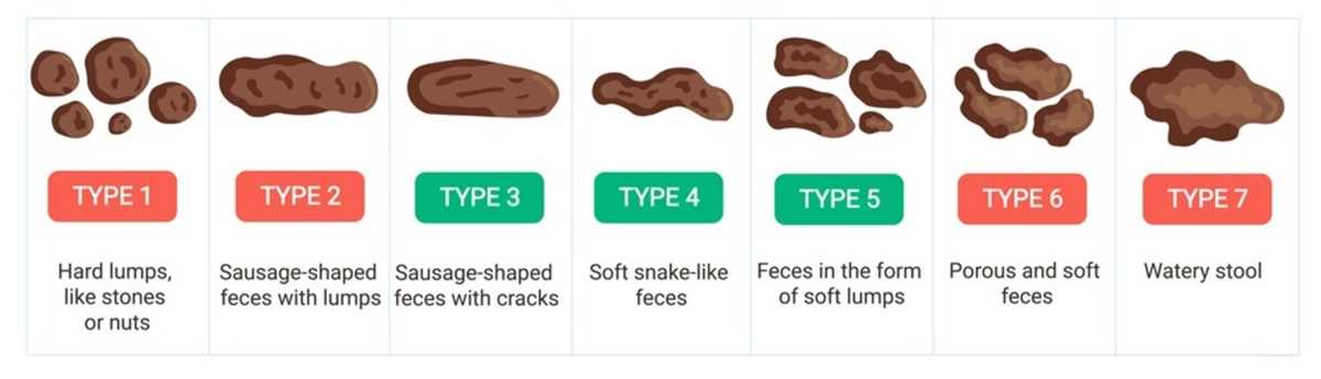 free printable bowel movement chart