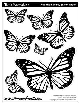 free printable butterfly stencil printable