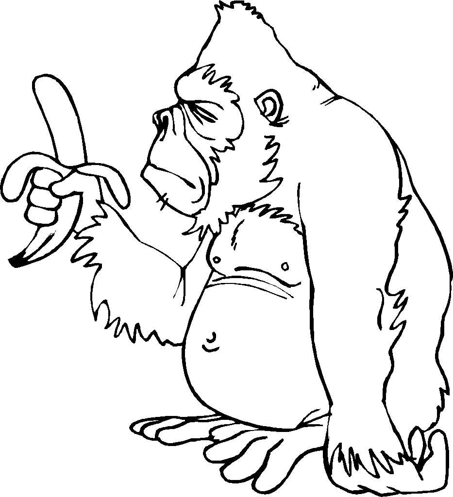 free printable coloring pages monkeys free printable coloring pages monkeys
