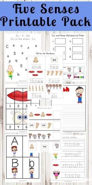 free printable five senses worksheets free printable five senses worksheets
