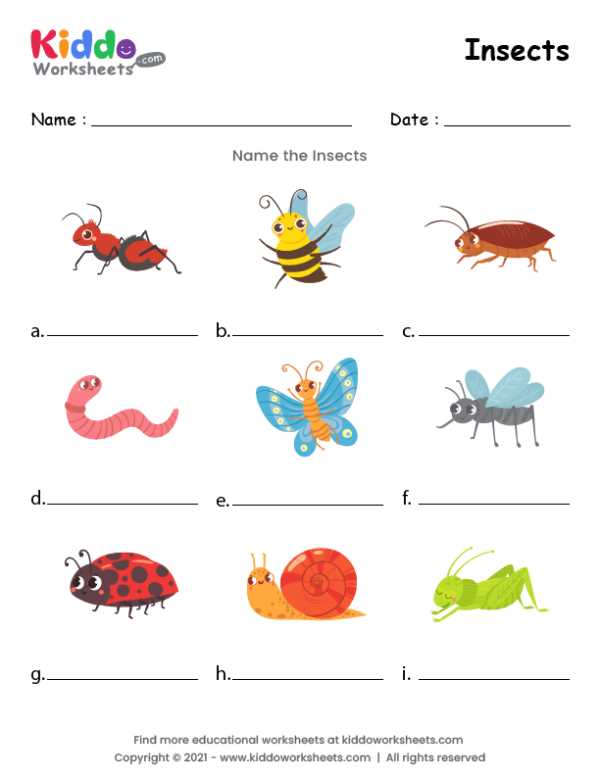 free printable insects free printable insects