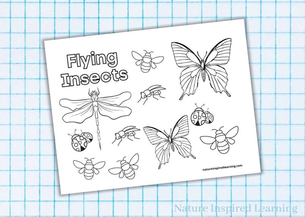 free printable insects free printable insects