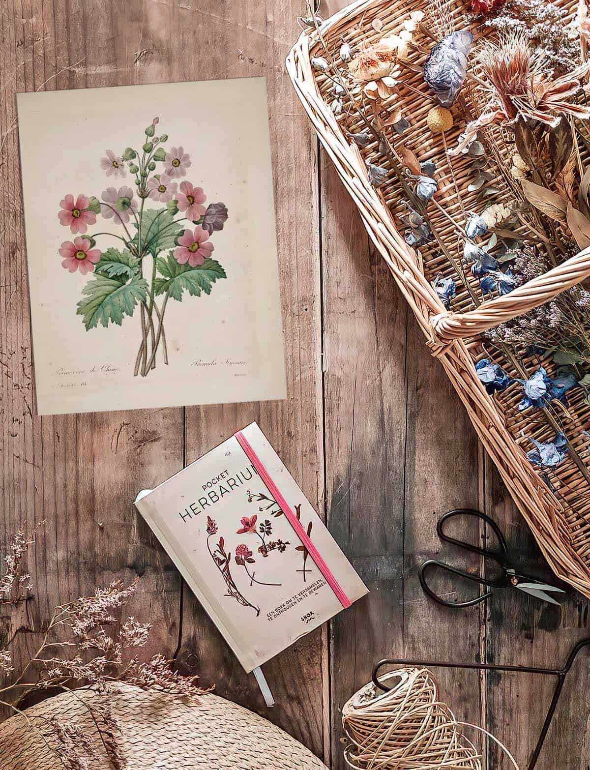 free printables flowers free printables flowers