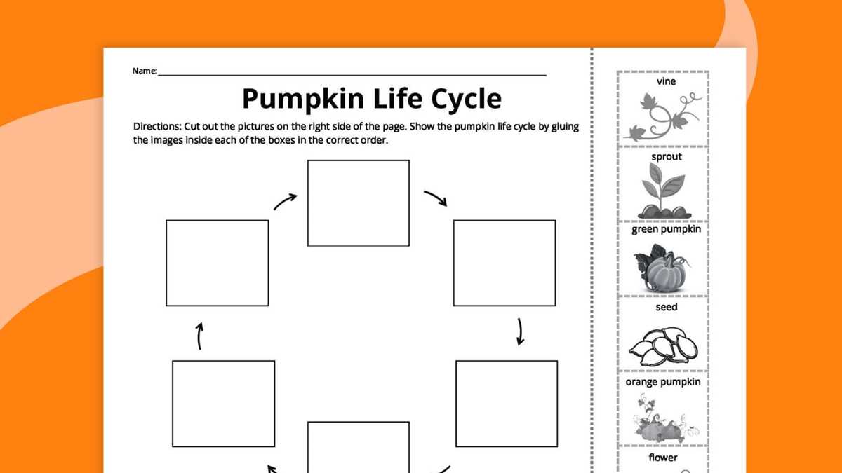 free pumpkin life cycle printable free pumpkin life cycle printable