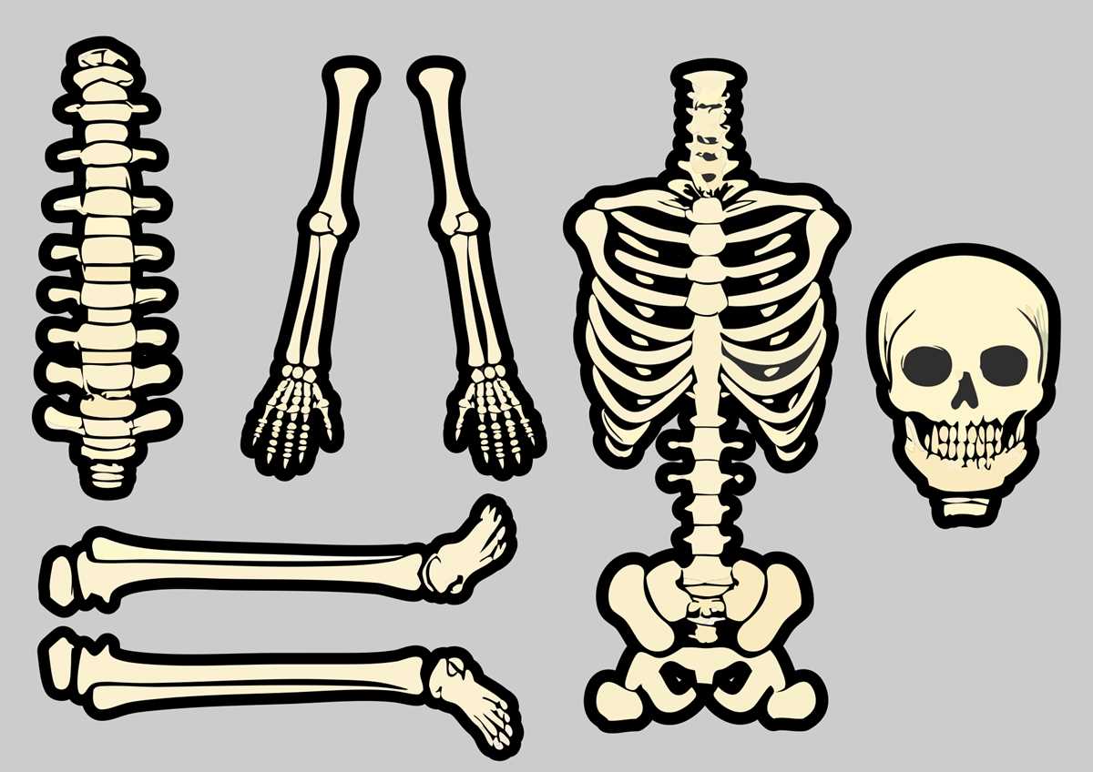 large skeleton cut out printable large skeleton cut out printable