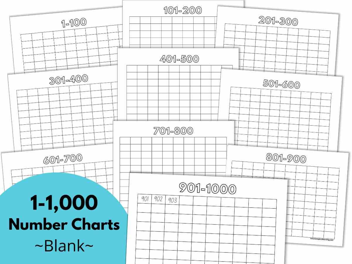number chart 1 to 1000 printable