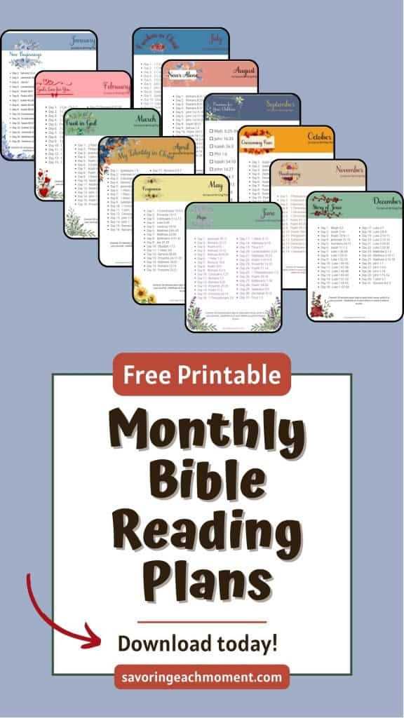 one year bible reading plan printable