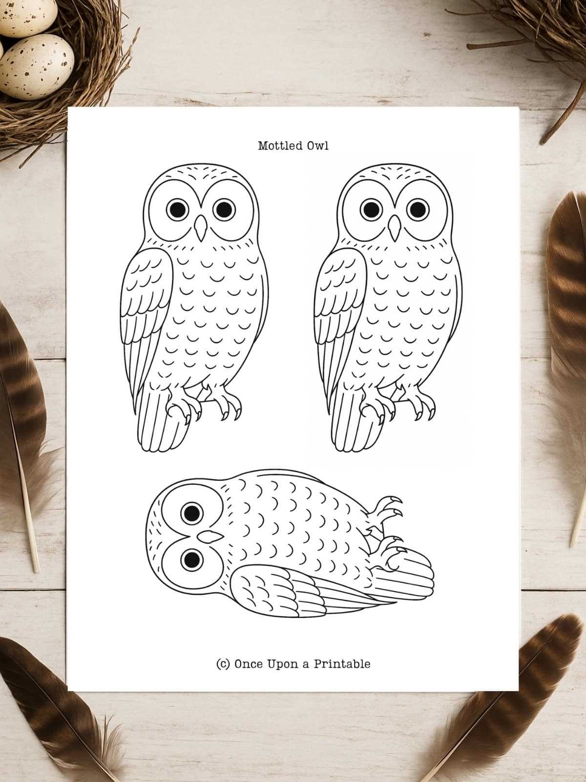 owl printable template owl printable template
