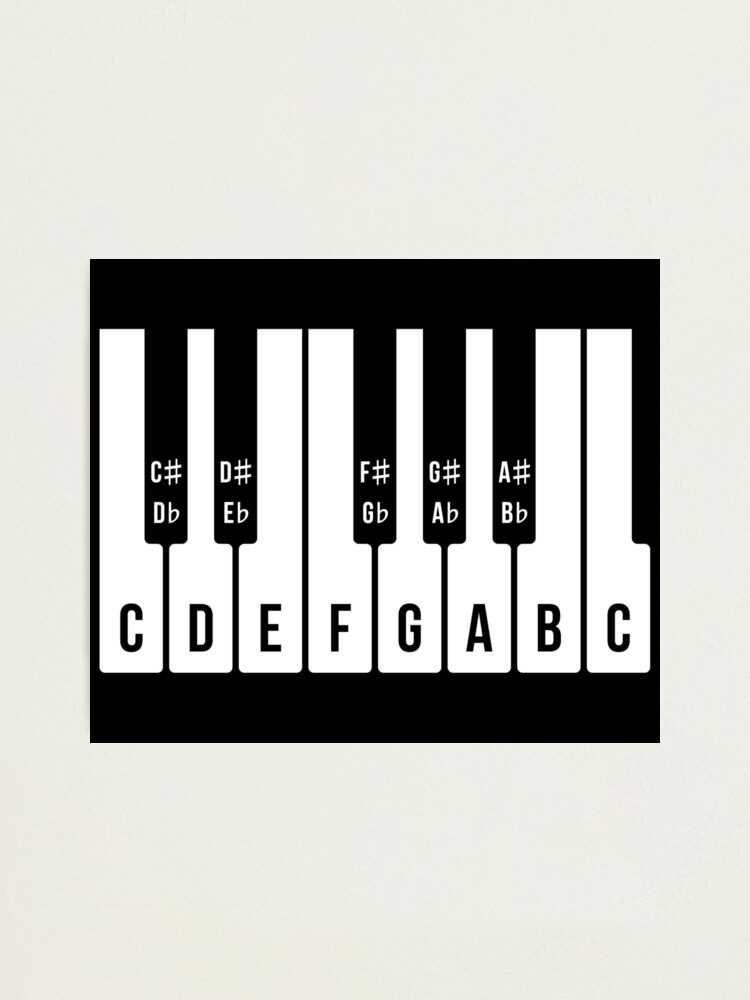 piano keyboard printable
