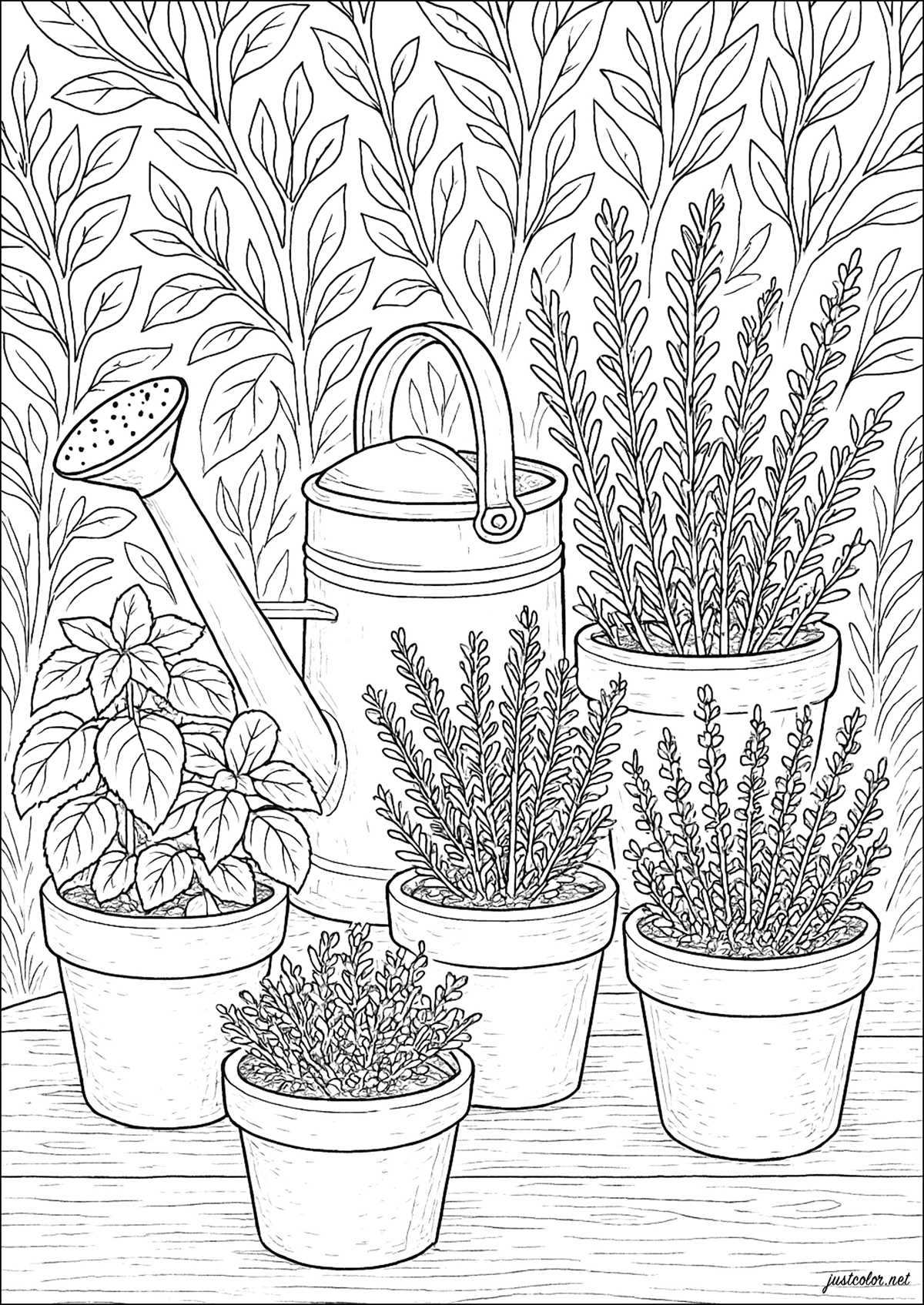 plant printable coloring pages plant printable coloring pages