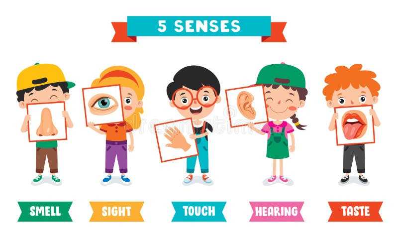 printable 5 senses clipart