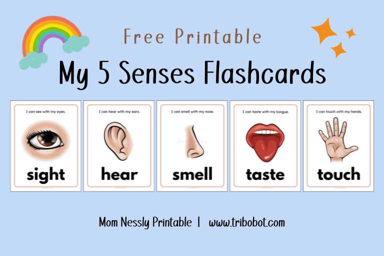 printable 5 senses clipart