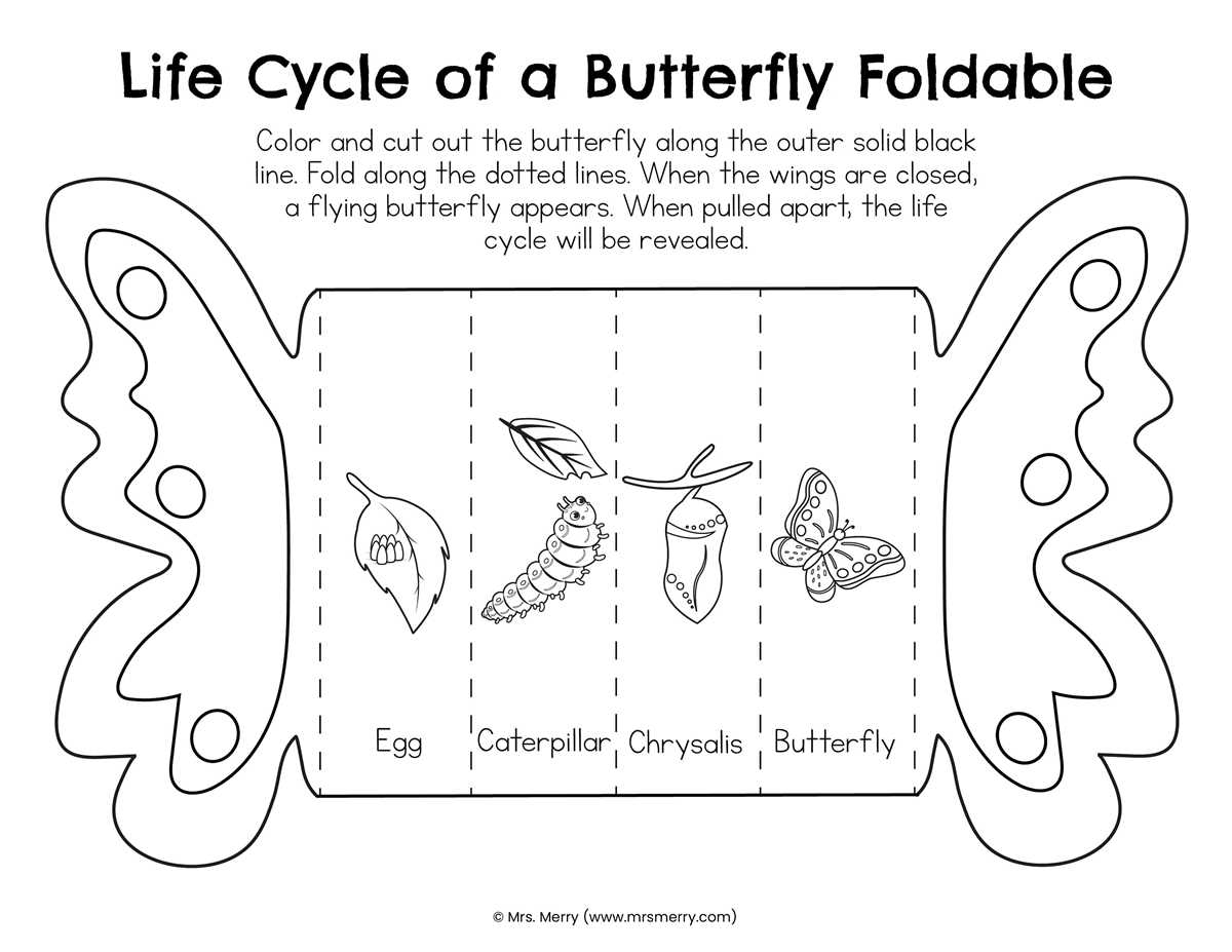 printable butterfly life cycle printable butterfly life cycle