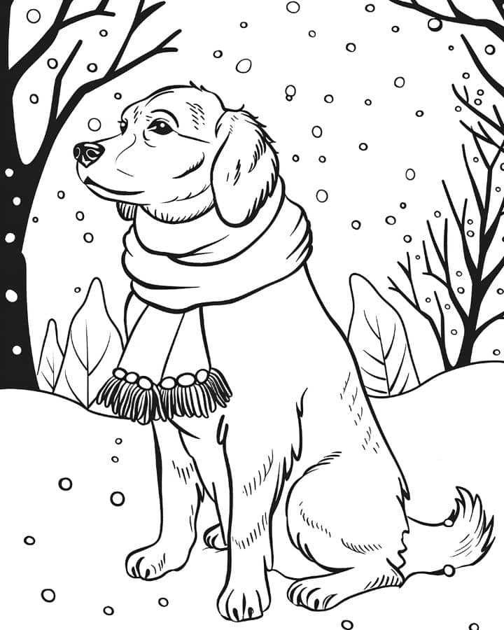 printable colouring pages for adults animals printable colouring pages for adults animals