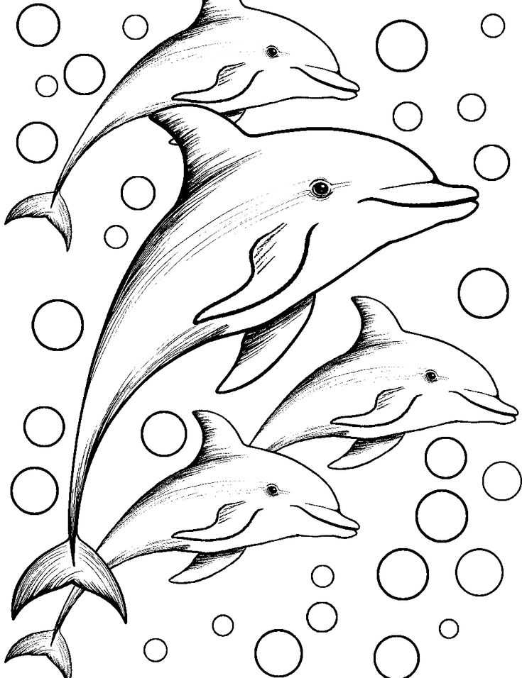 printable dolphin coloring pages printable dolphin coloring pages
