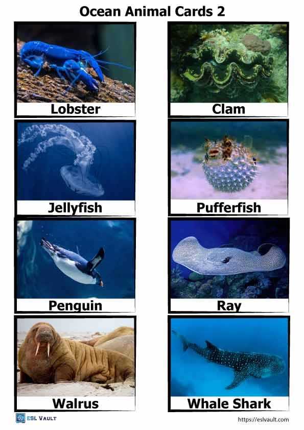 printable images of sea creatures