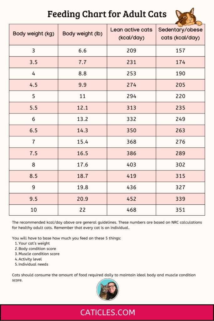 printable kitten feeding chart printable kitten feeding chart