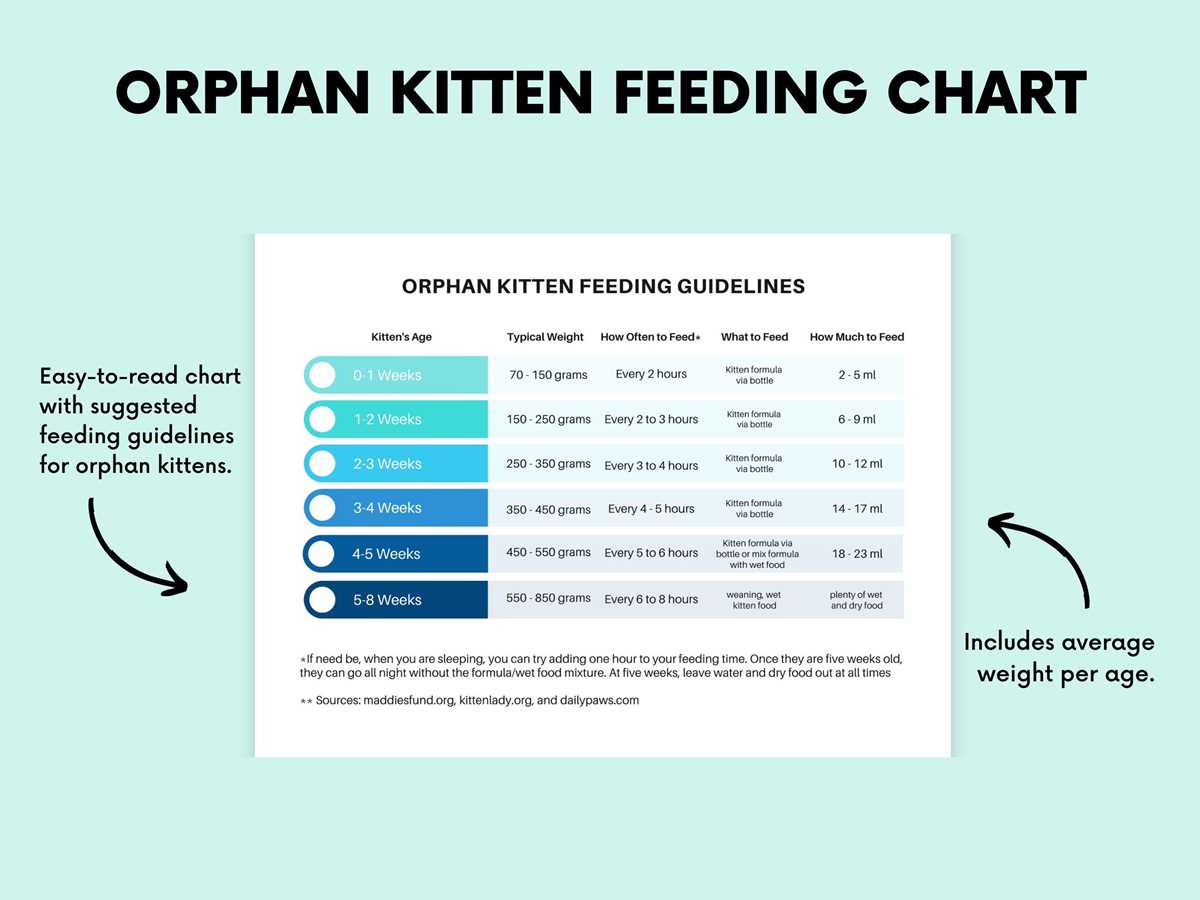printable kitten feeding chart printable kitten feeding chart