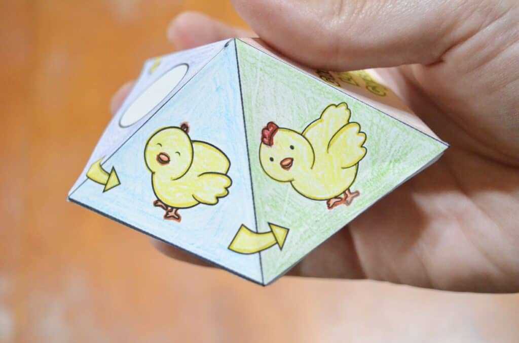 printable life cycle of a chicken printable life cycle of a chicken