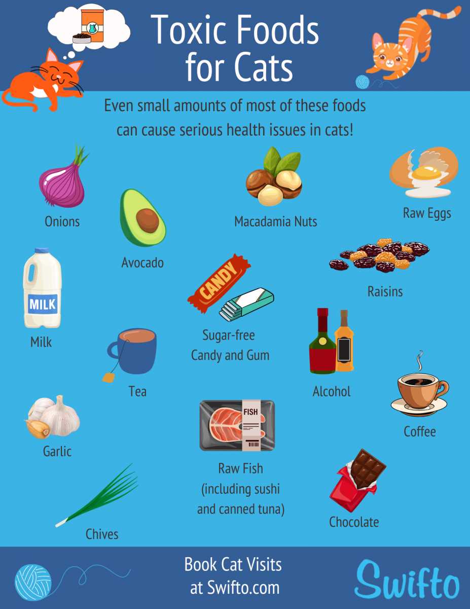 printable list of toxic foods for cats printable list of toxic foods for cats