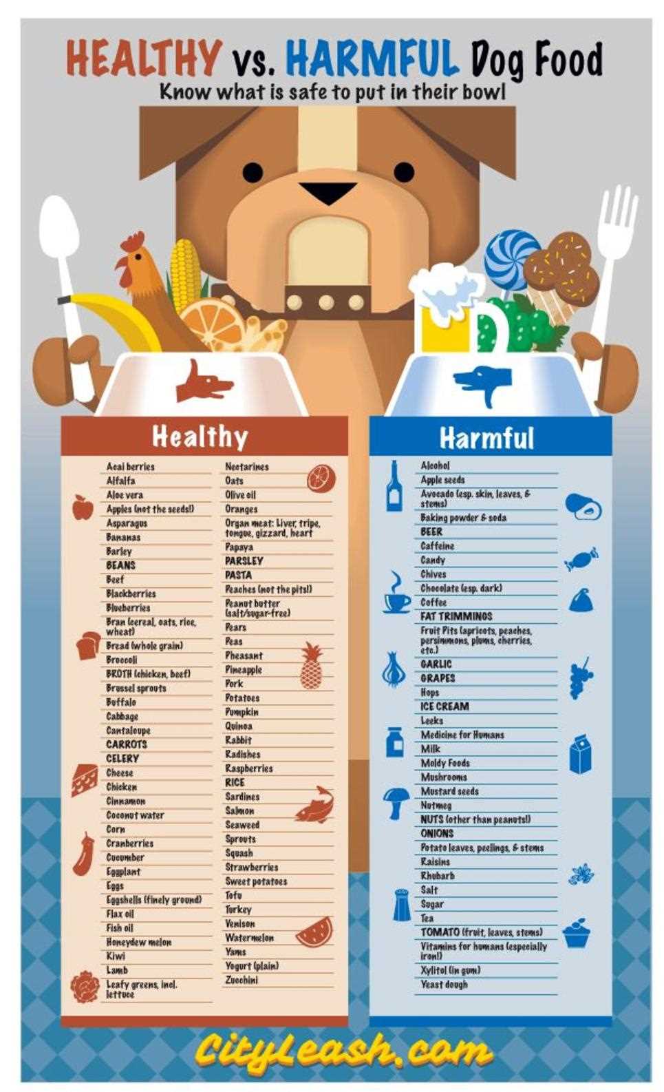 printable list of toxic foods for dogs printable list of toxic foods for dogs
