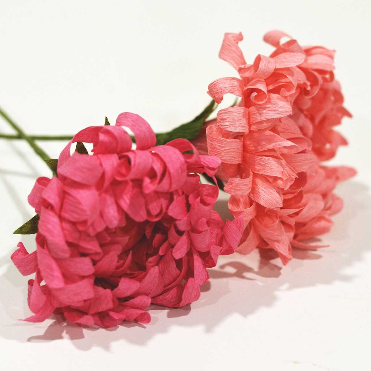 printable paper flowers printable paper flowers