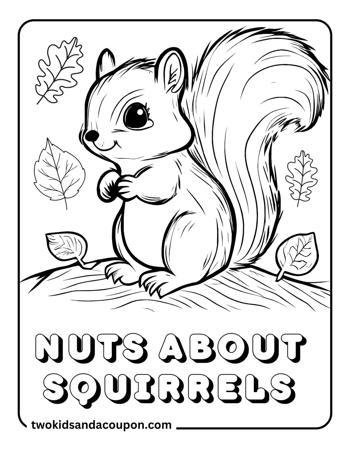printable picture of a squirrel