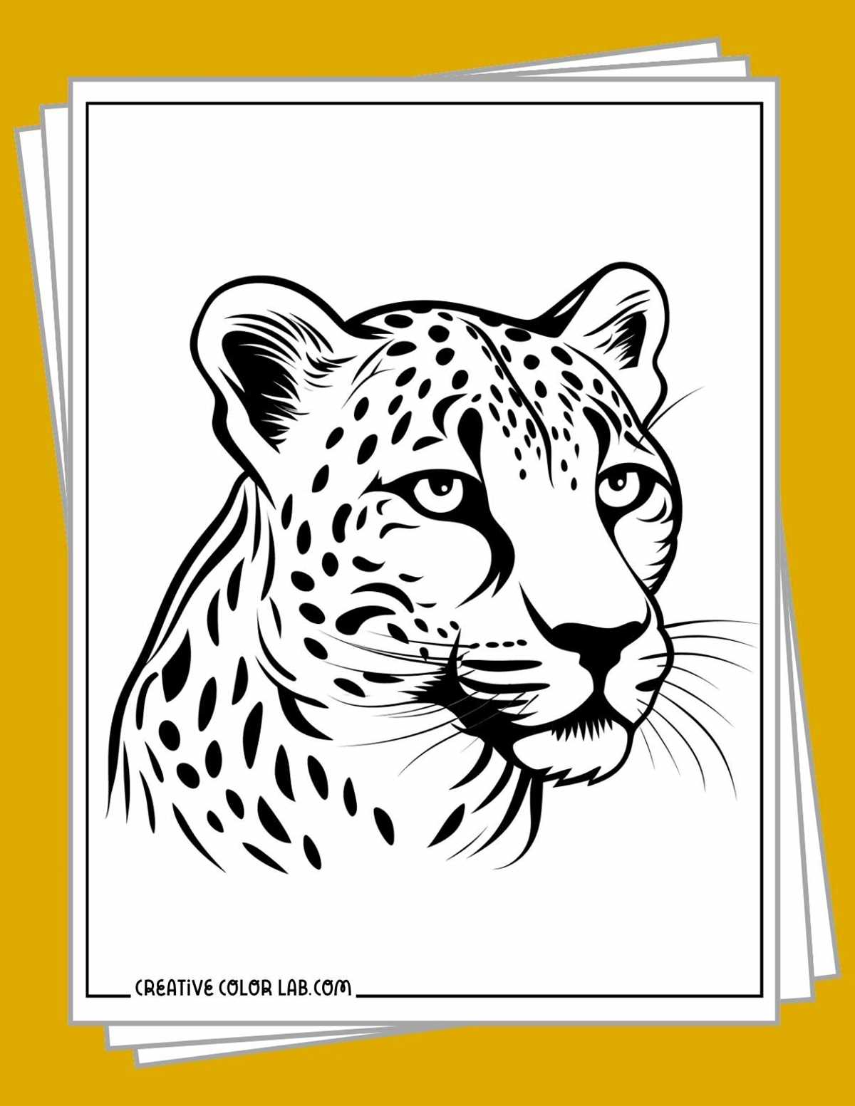 printable pictures of cheetahs printable pictures of cheetahs