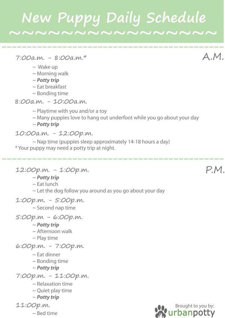 printable puppy training schedule week by week printable puppy training schedule week by week