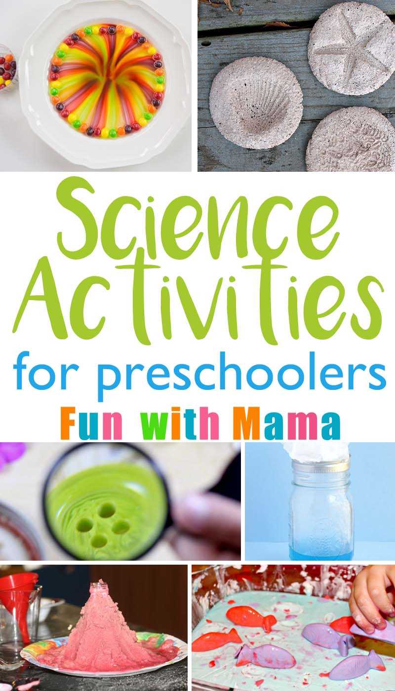 printable science activities for preschoolers printable science activities for preschoolers