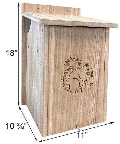 printable squirrel house plans printable squirrel house plans