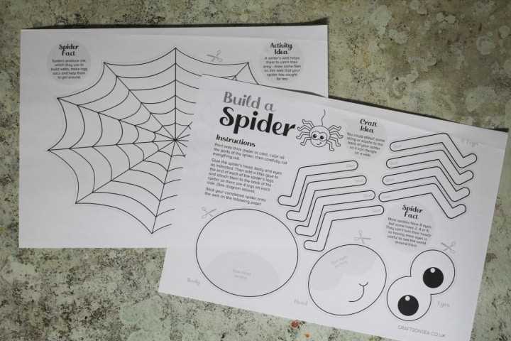 spider template printable spider template printable